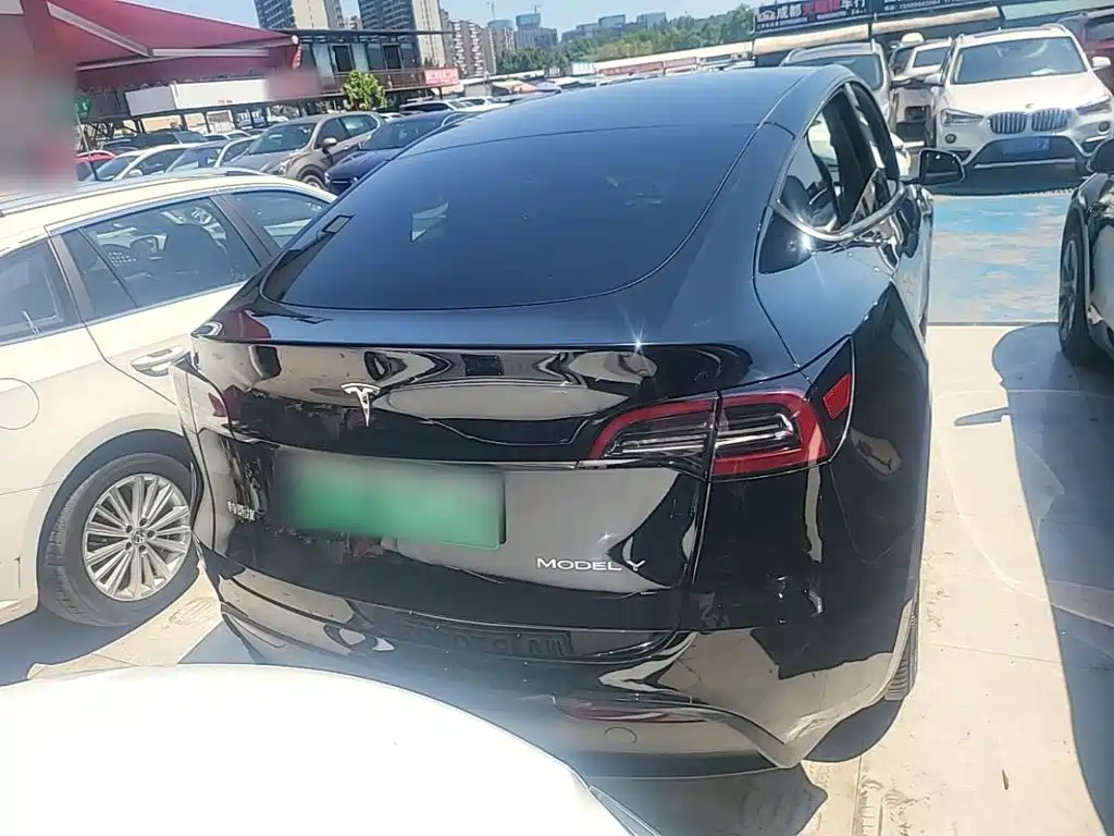 Tesla Model Y — миниатюра 6