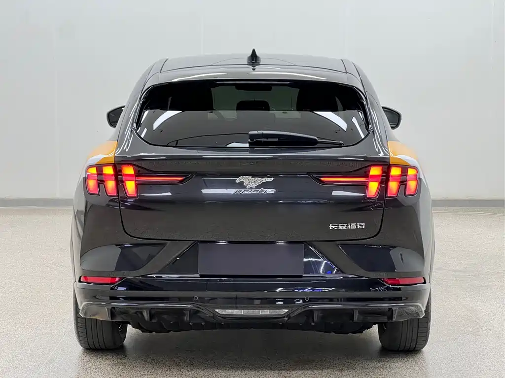 Ford Mustang Mach-E — миниатюра 5