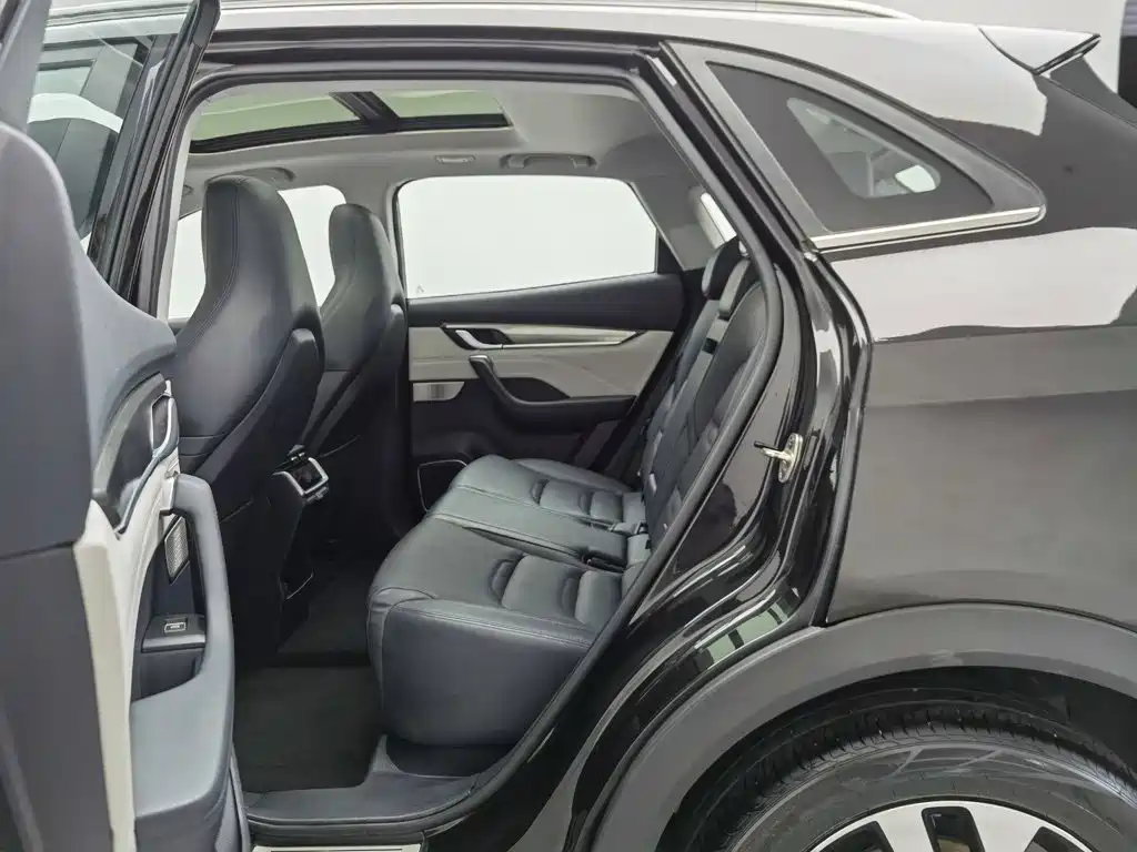 WM Motor EX5 — миниатюра 15
