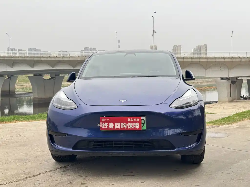 Tesla Model Y — миниатюра 2