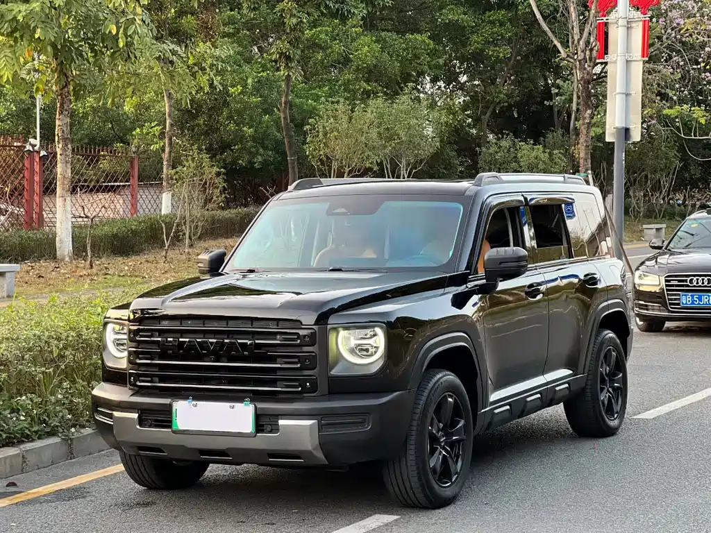 Haval Menglong New Energy 2023
