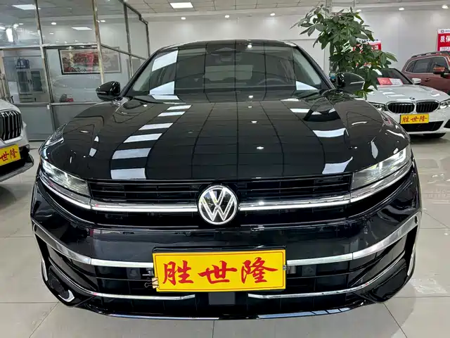 VOLKSWAGEN MAGOTAN 2024