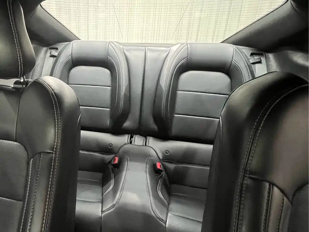 Ford Mustang 2.3T Performance Edition, фото 9