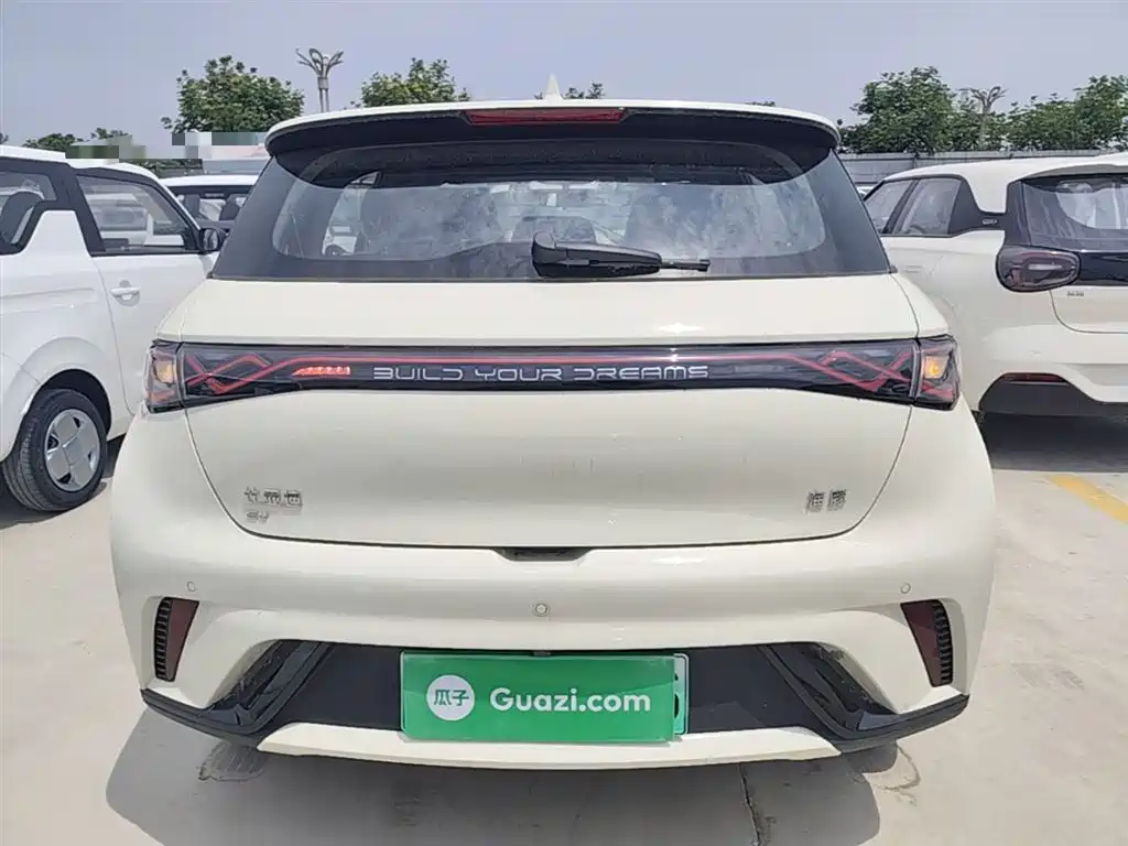BYD Dolphin 2025 420km Freedom
