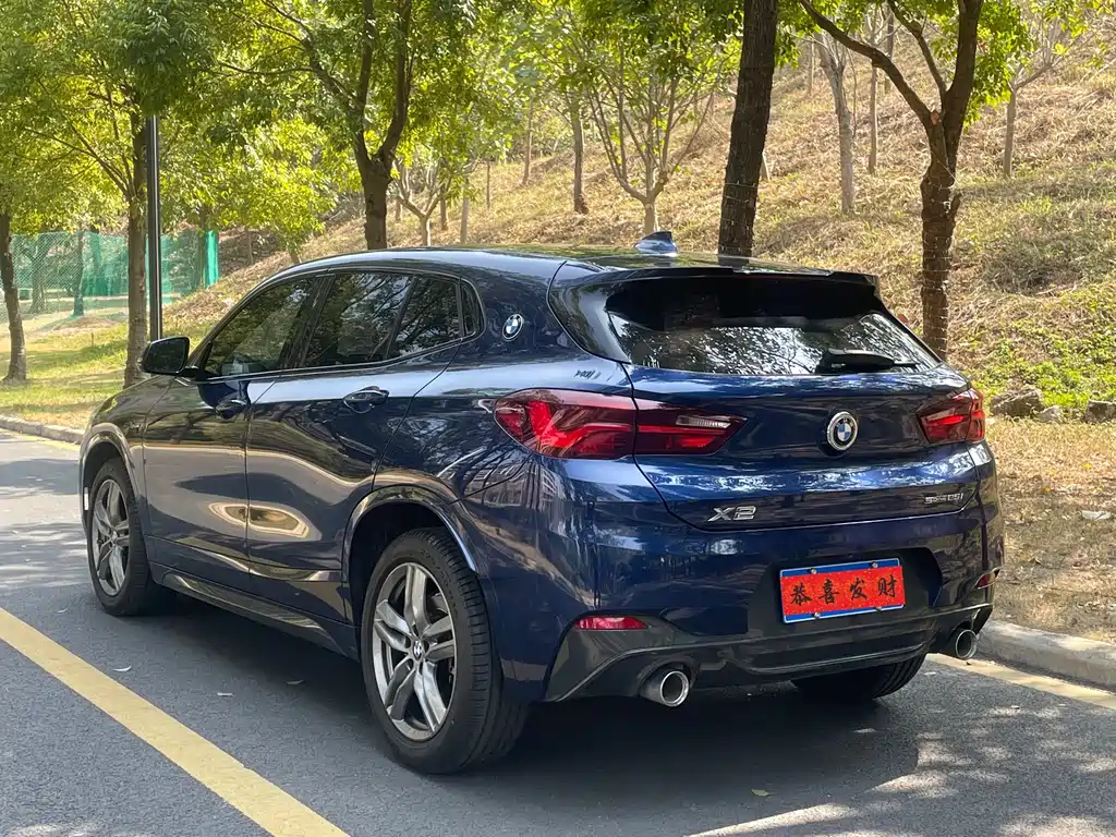 BMW X2