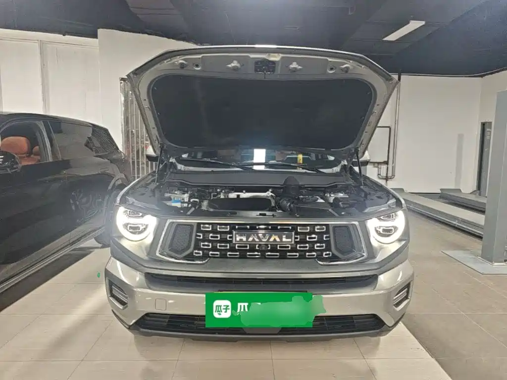 Haval Big Dog PLUS — миниатюра 20