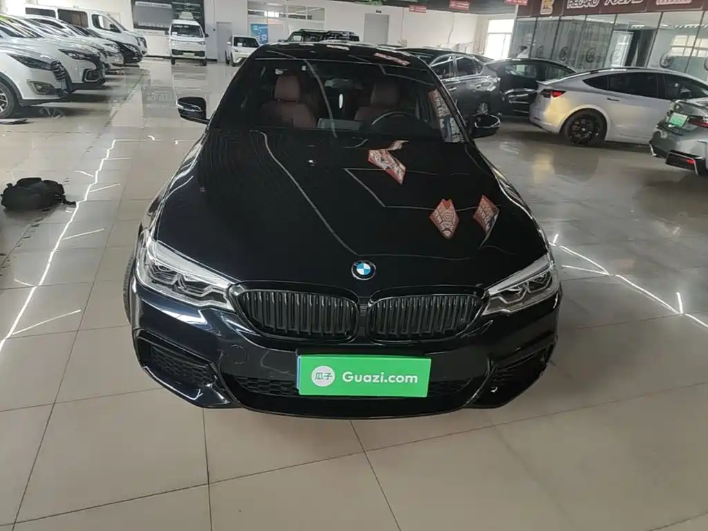 BMW 5 Series — миниатюра 3