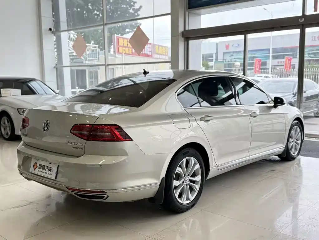 Volkswagen Magotan 2019 330TSI DSG Luxury VI