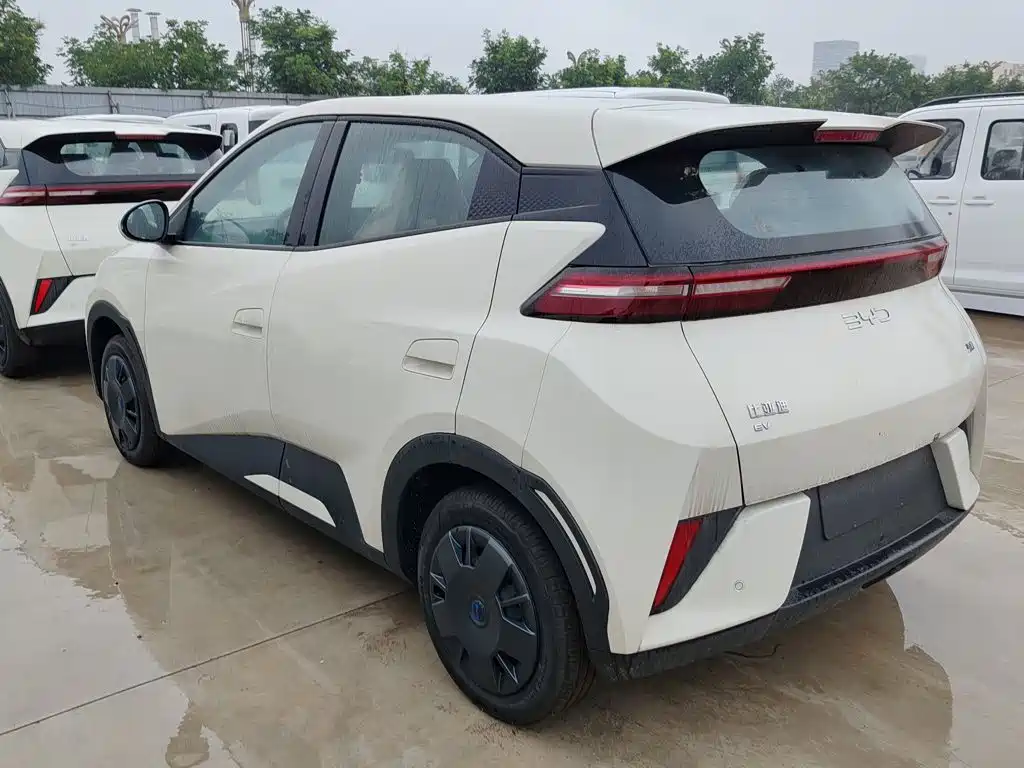BYD Seagull 2025 Smart Drive 305km