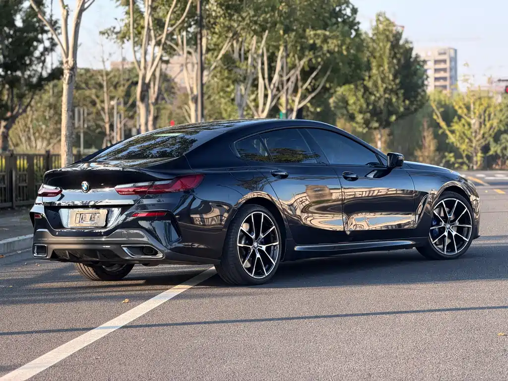 BMW 8 Series — миниатюра 5