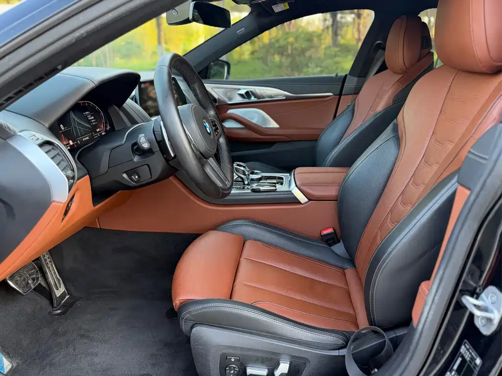 BMW 8 Series — миниатюра 8