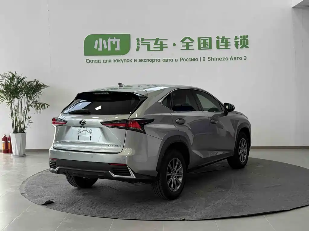 Lexus NX 2020 200 VI