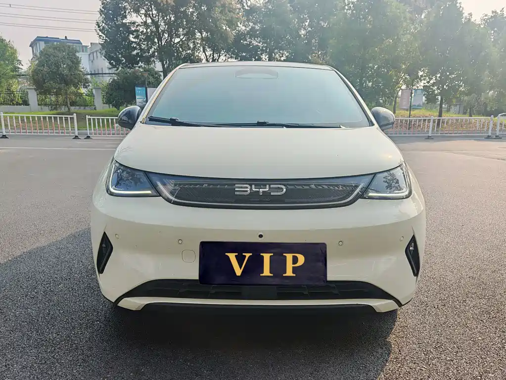 BYD Dolphin — миниатюра 2