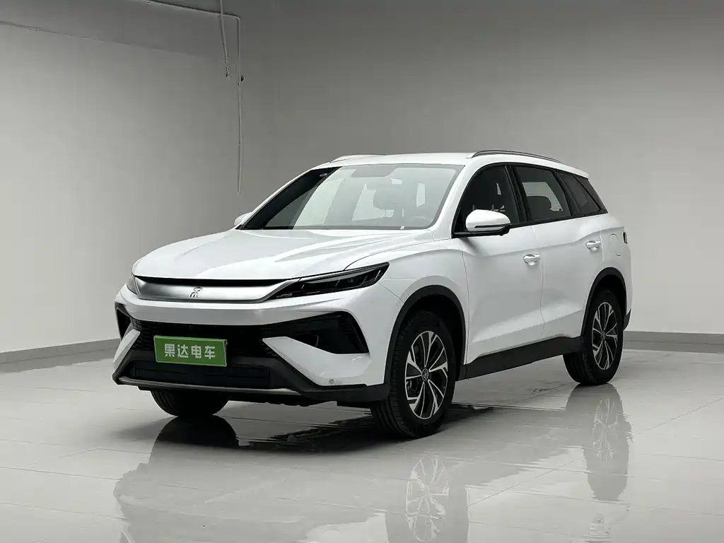 Byd Pro New Energy 2026