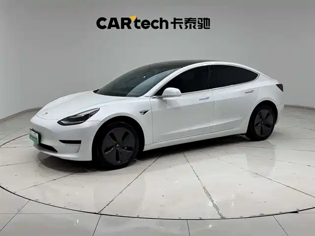 TESLA MODEL 3 2020