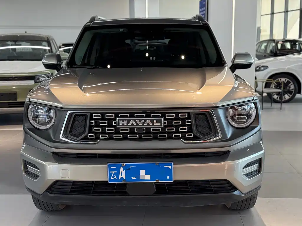 HAVAL BIG DOG