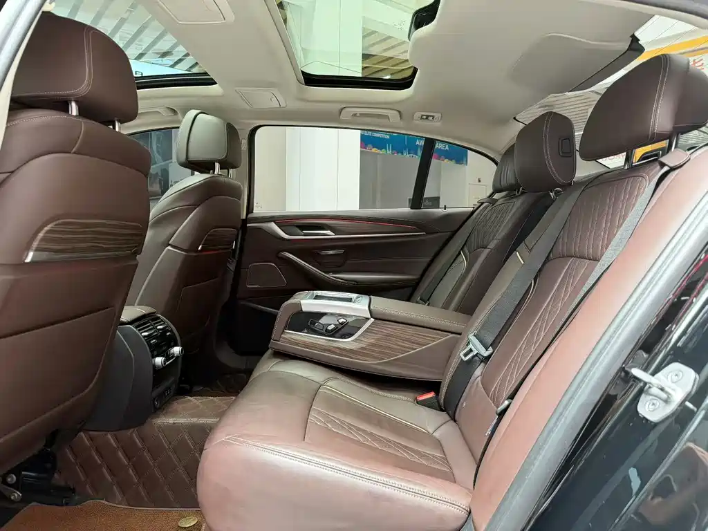 BMW 5 Series 5 2020 530Li Premium Luxury