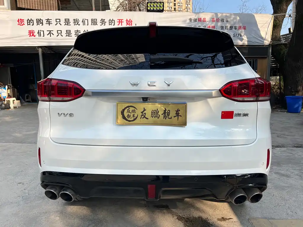 WEI PAI WEI BRAND VV6