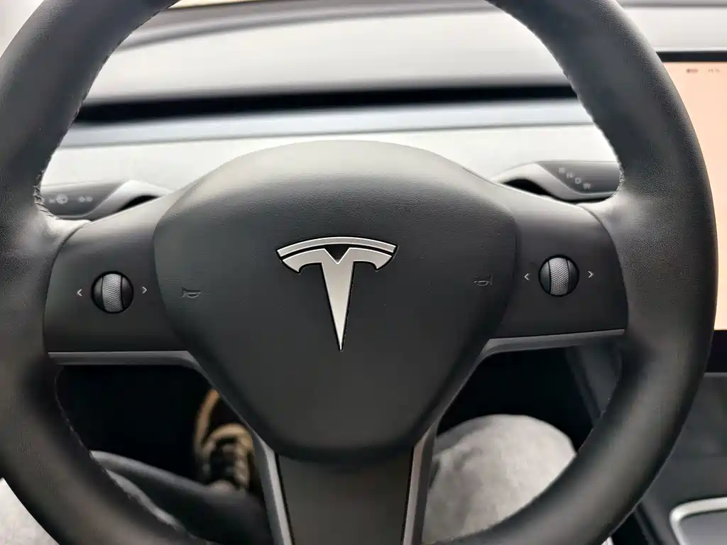 Tesla Model Y — фотографии объявления, Фото 5