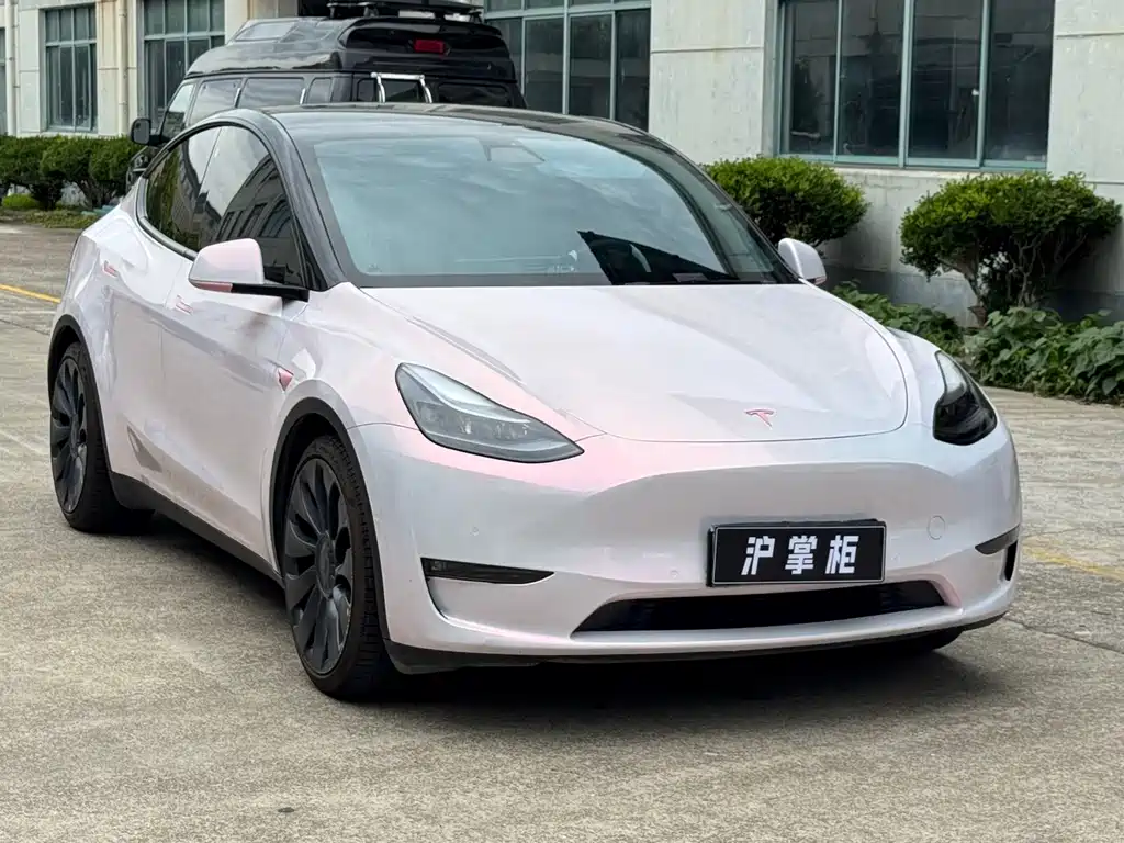 Tesla Model Y 2021 Performance