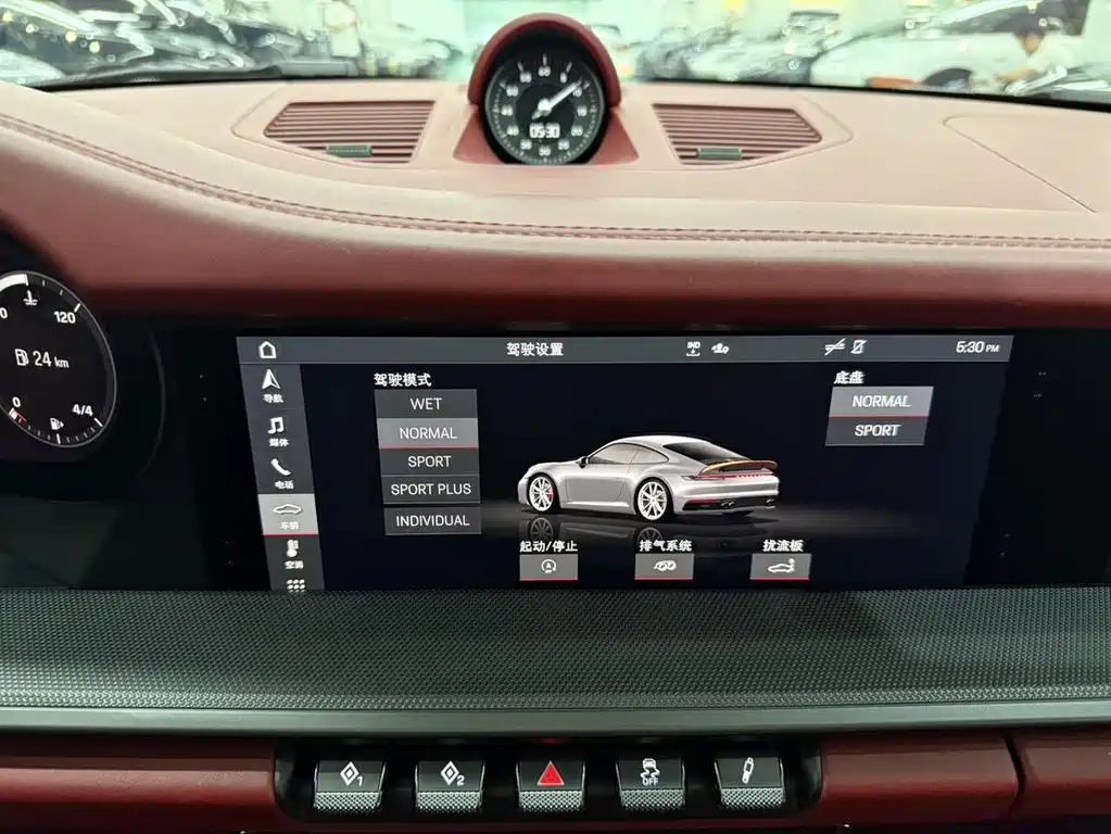 Porsche 911 — миниатюра 13
