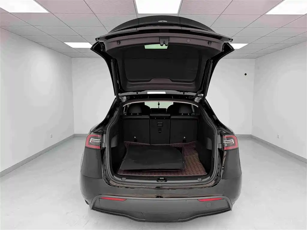 Tesla Model Y — миниатюра 16