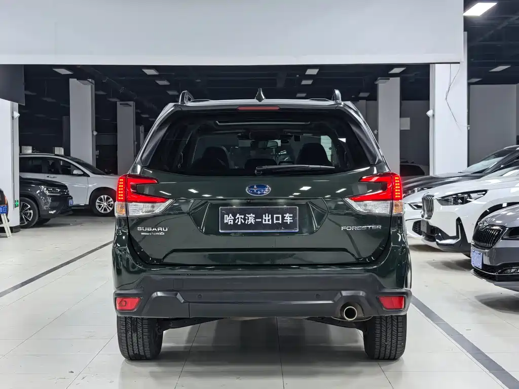 Subaru Forester — миниатюра 25