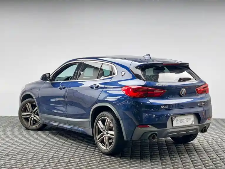 BMW X2 2020 sDrive25i Lead M