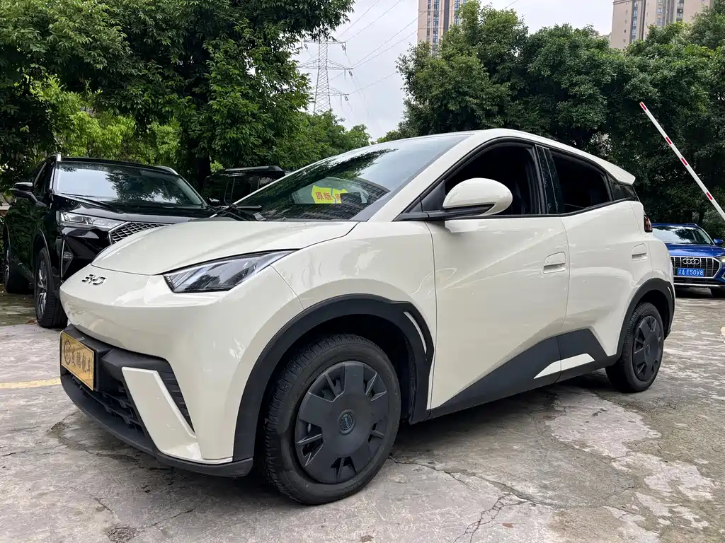 Byd Seagull 2025