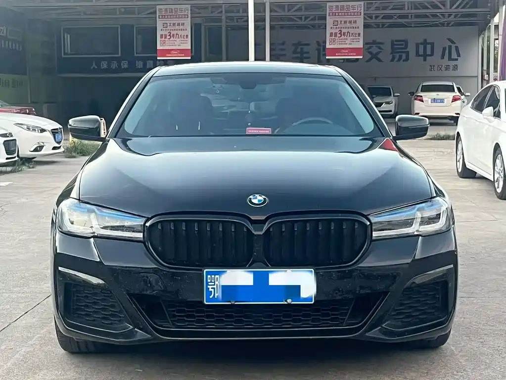 BMW 5 Series 5 2018 528Li