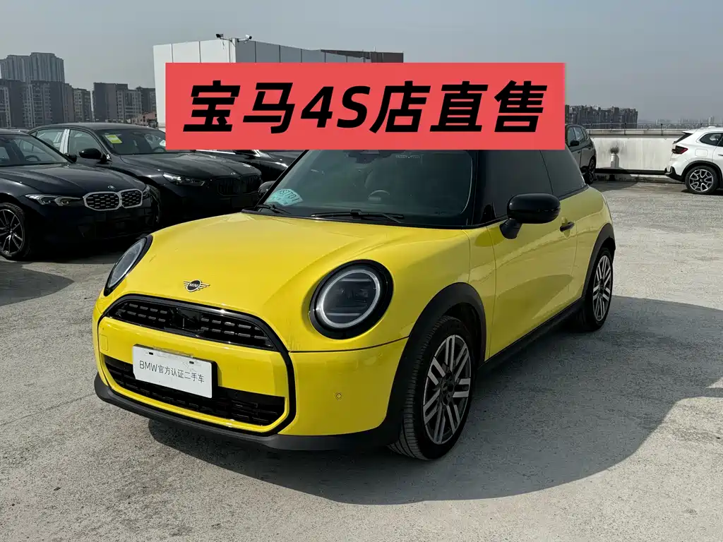 Mini Mini 2025