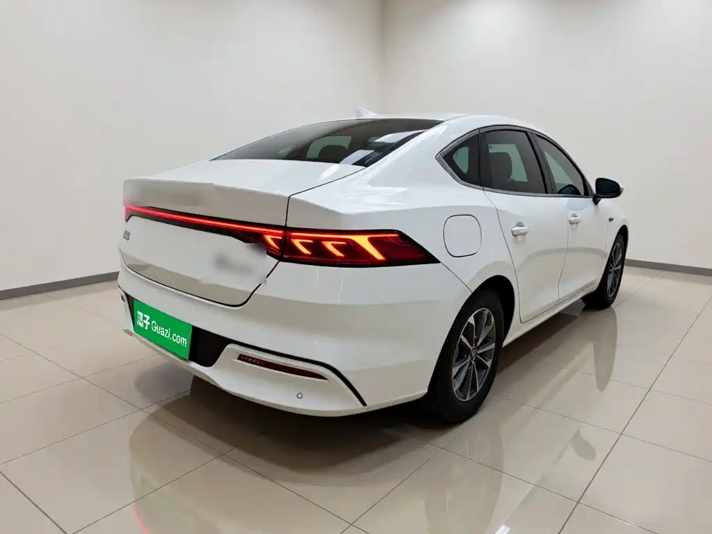 BYD Qin Plus PLUS 2023 Champion DM-i 55KM Lead
