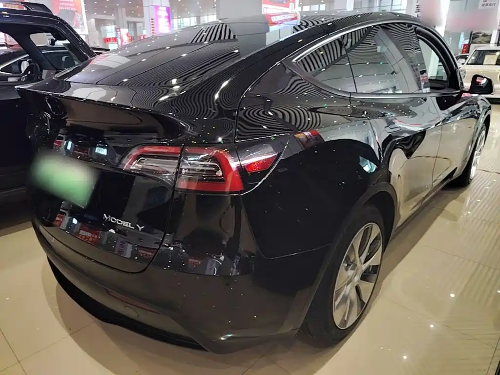 Tesla Model Y — миниатюра 7