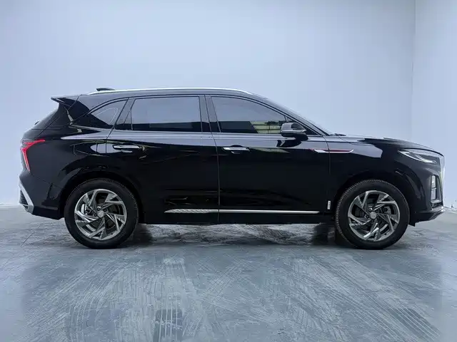 Hongqi Hongqi HS3 PHEV — миниатюра 9