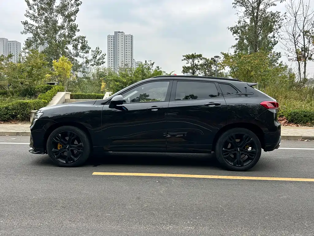 Wey Wey VV7 — миниатюра 2