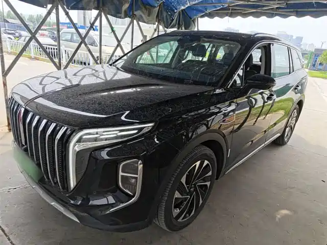 2024 Hongqi HS7