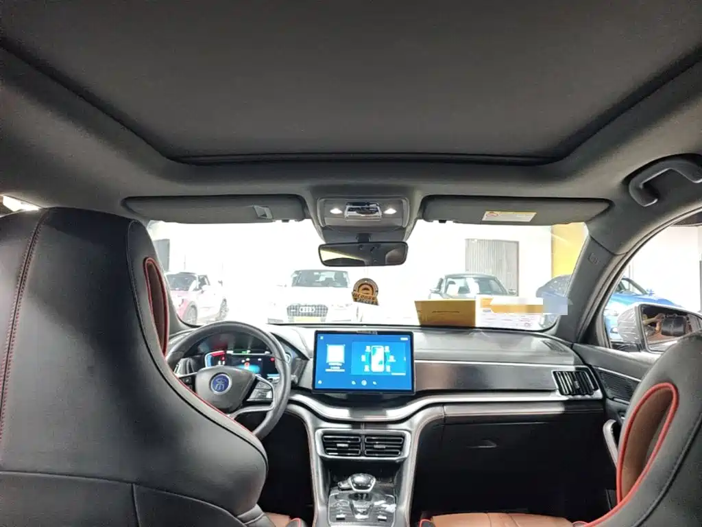 BYD PLUS — миниатюра 18
