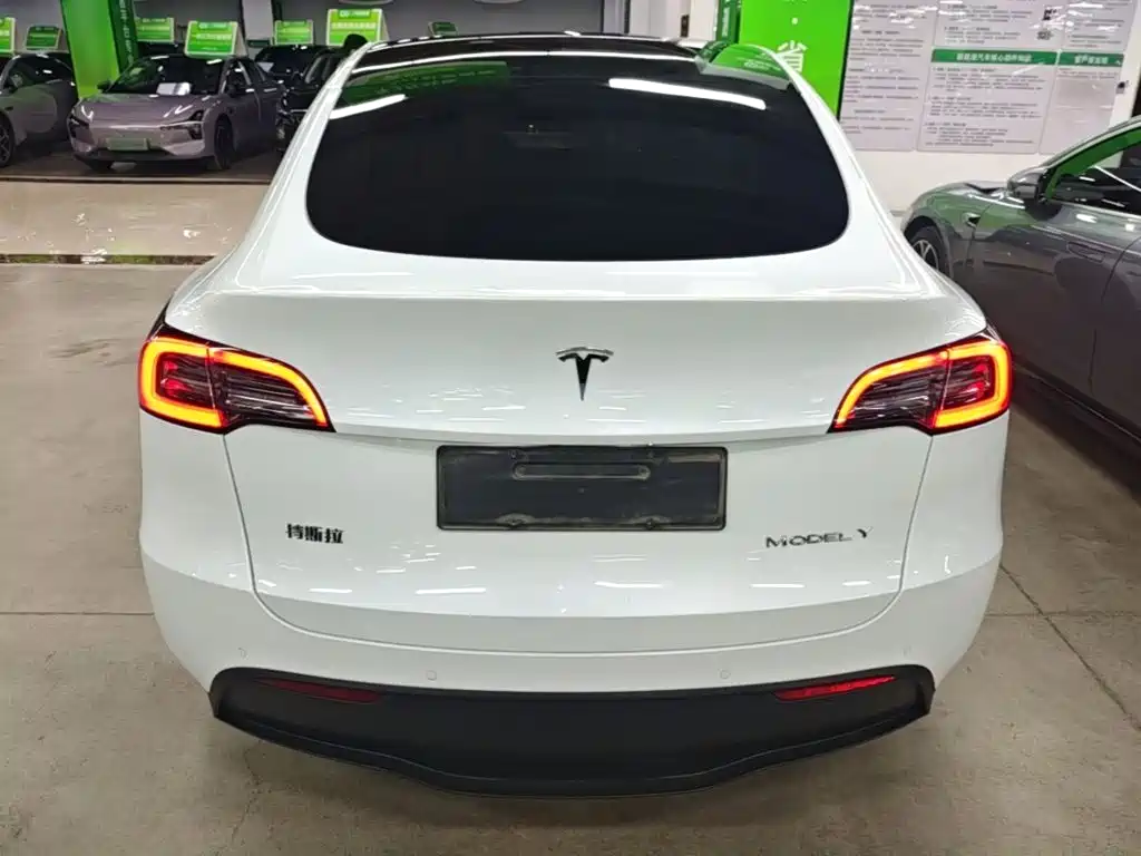 Tesla Model Y — миниатюра 6