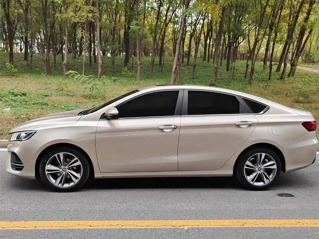 GEELY AUTOMOBILE BINRUI