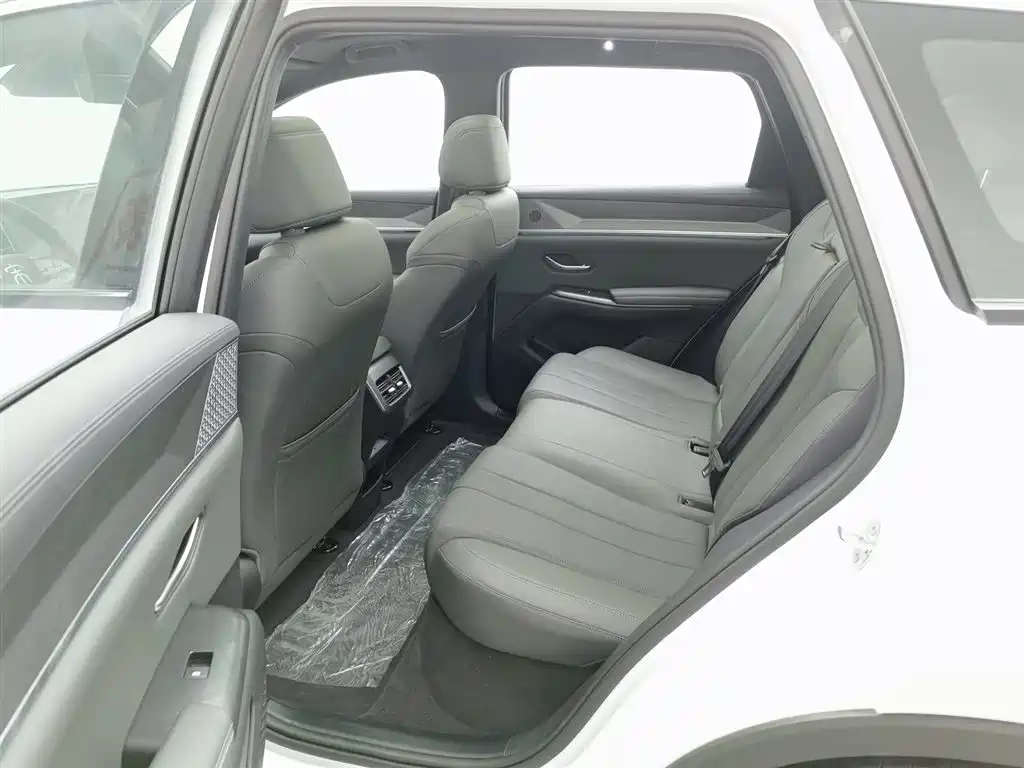 BYD SONGJIANG NEW ENERGY