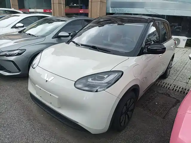 2024 Wuling Motors Binguo