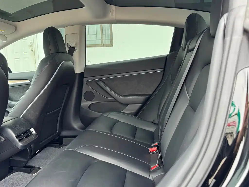 Tesla Model 3 2022 Performance