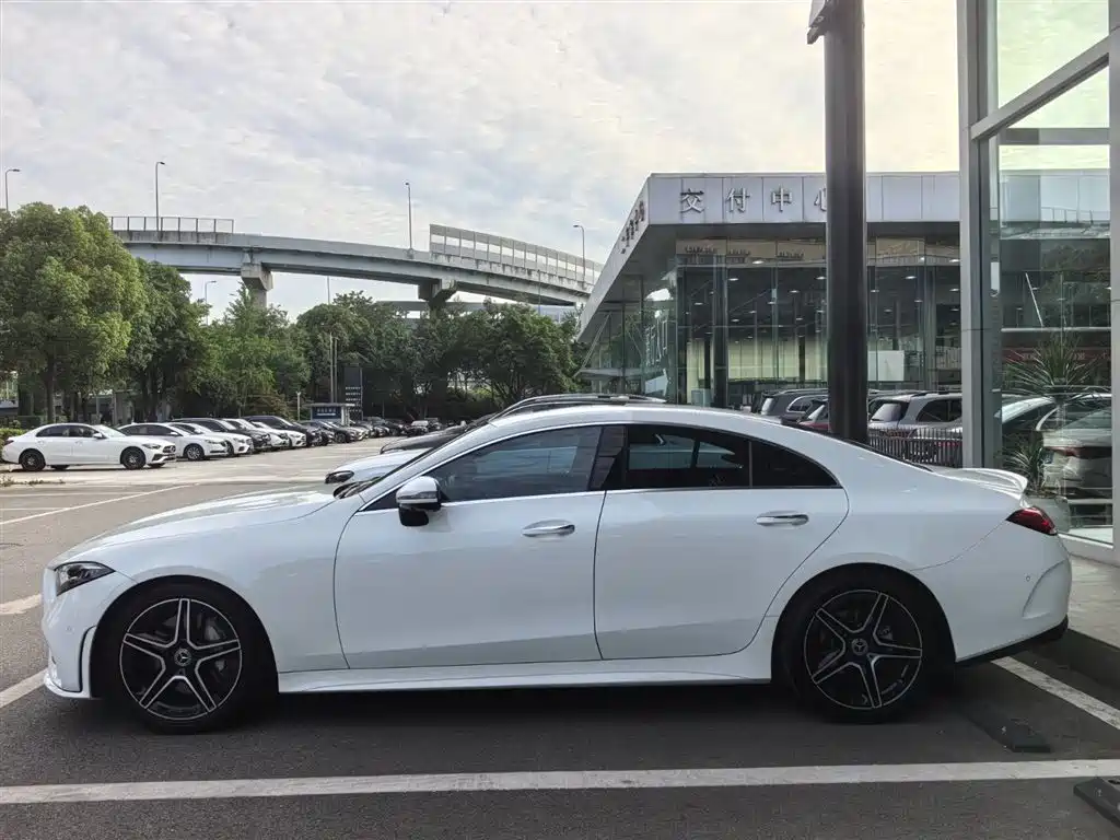 Mercedes-Benz CLS 2021 CLS 300 Luxury