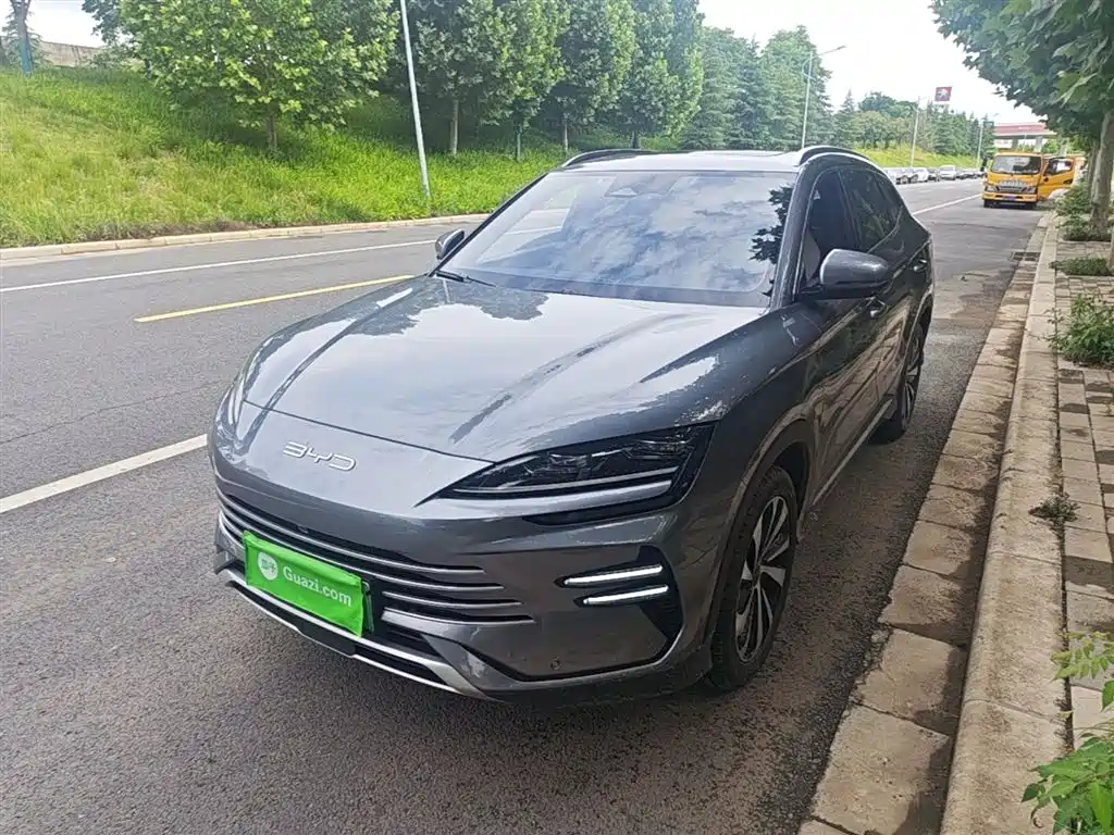 Byd PLUS New Energy 2024