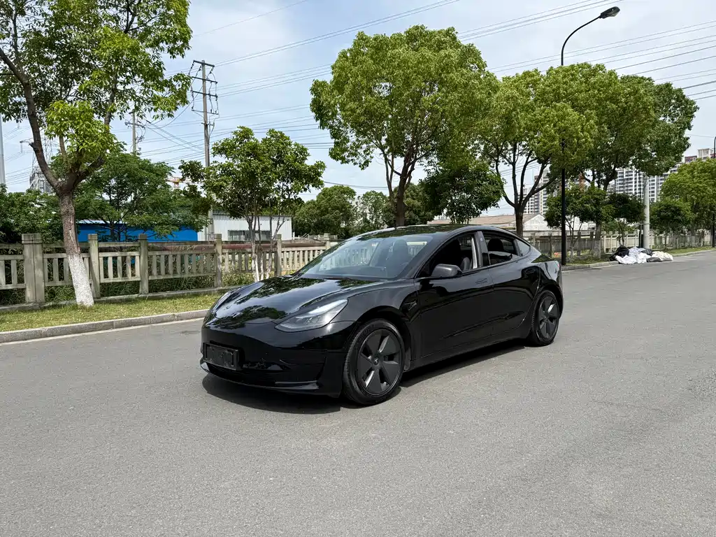 Tesla Model 3 2021