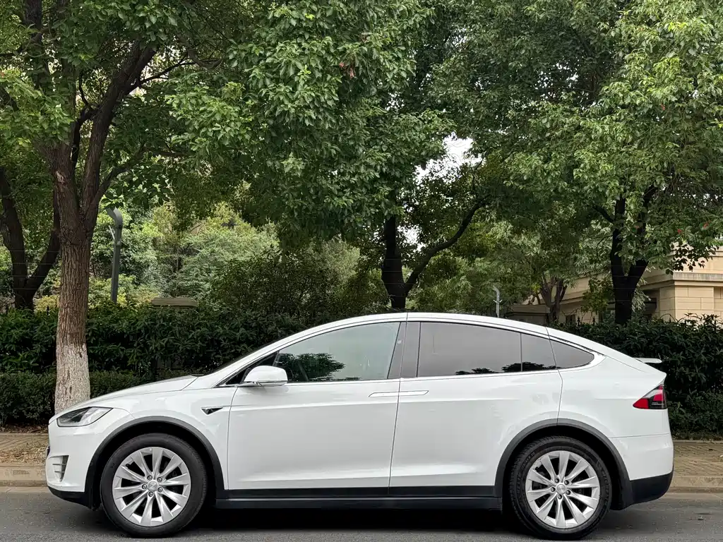 Tesla Model X — фотографии объявления, Фото 4