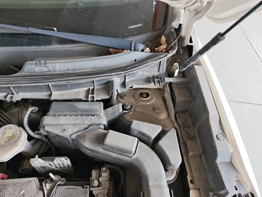 Renault Koleos — миниатюра 21