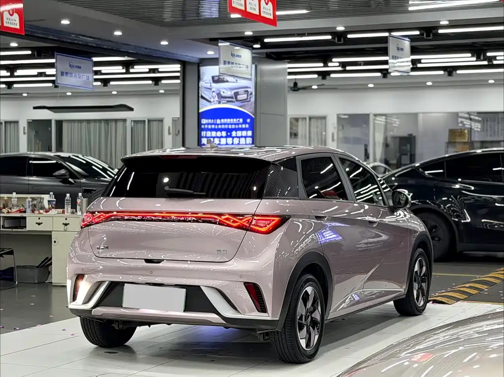 BYD Dolphin 2024 420km Fashion