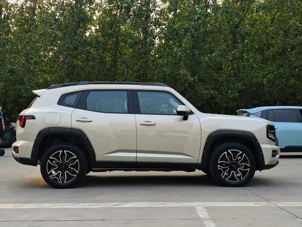Haval Big Dog PLUS New Energy — миниатюра 5