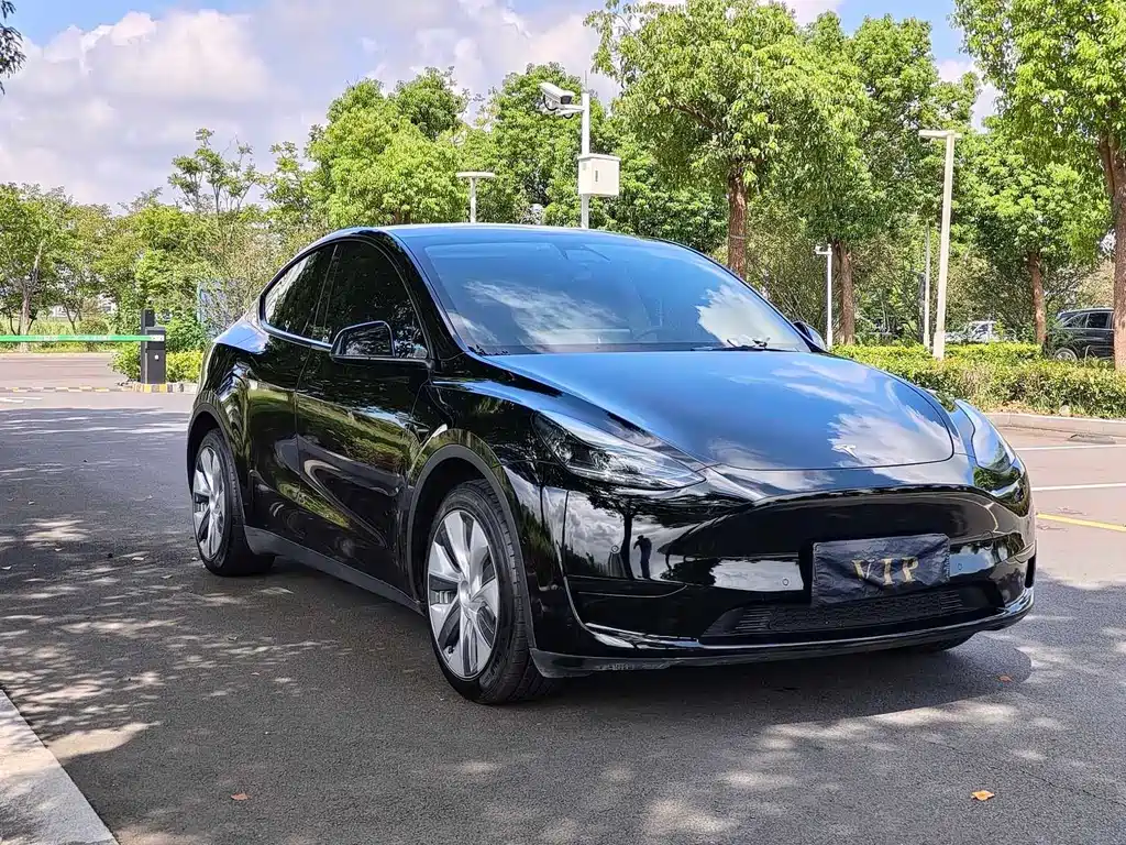 Tesla Model Y — миниатюра 3